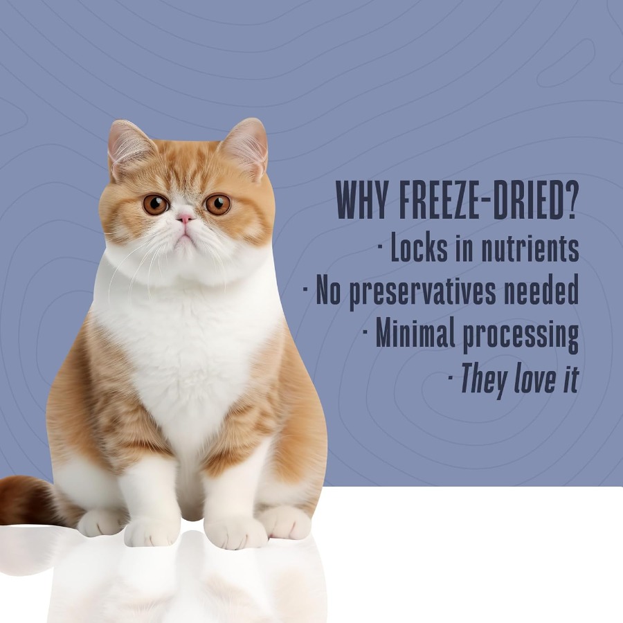 Whole Life Cat Just One Turkey - Food Snacks With High Protein recensie en prijs